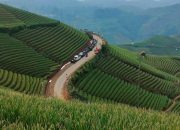 Wisata Lokal yang Tak Kalah Menarik dari Destinasi Populer