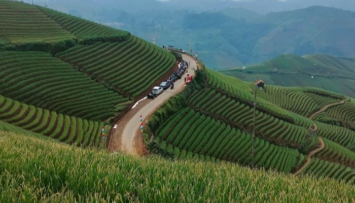Wisata Lokal yang Tak Kalah Menarik dari Destinasi Populer